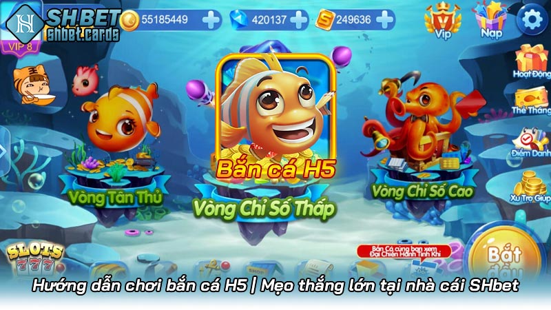 Hướng dẫn chơi bắn cá H5 | Mẹo thắng lớn tại nhà cái SHbet