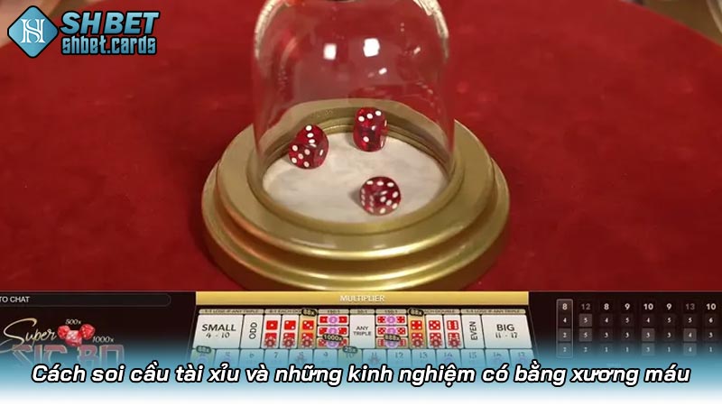 Cách soi cầu tài xỉu và những kinh nghiệm có bằng xương máu