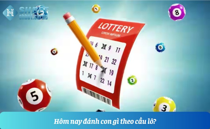 Hôm nay đánh con gì? Gợi ý con số hên theo ngày | Hình số 5 Hôm nay đánh con gì theo cầu lô?
