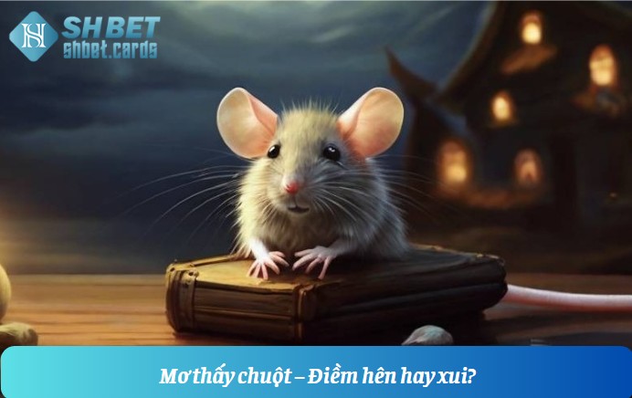 Mơ thấy chuột đánh con gì? Là điềm báo hên hay xui? | Hình số 5 Mơ thấy chuột – Điềm hên hay xui?